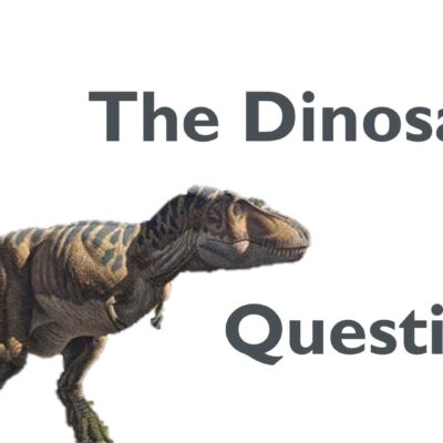 The Dinosaur Question